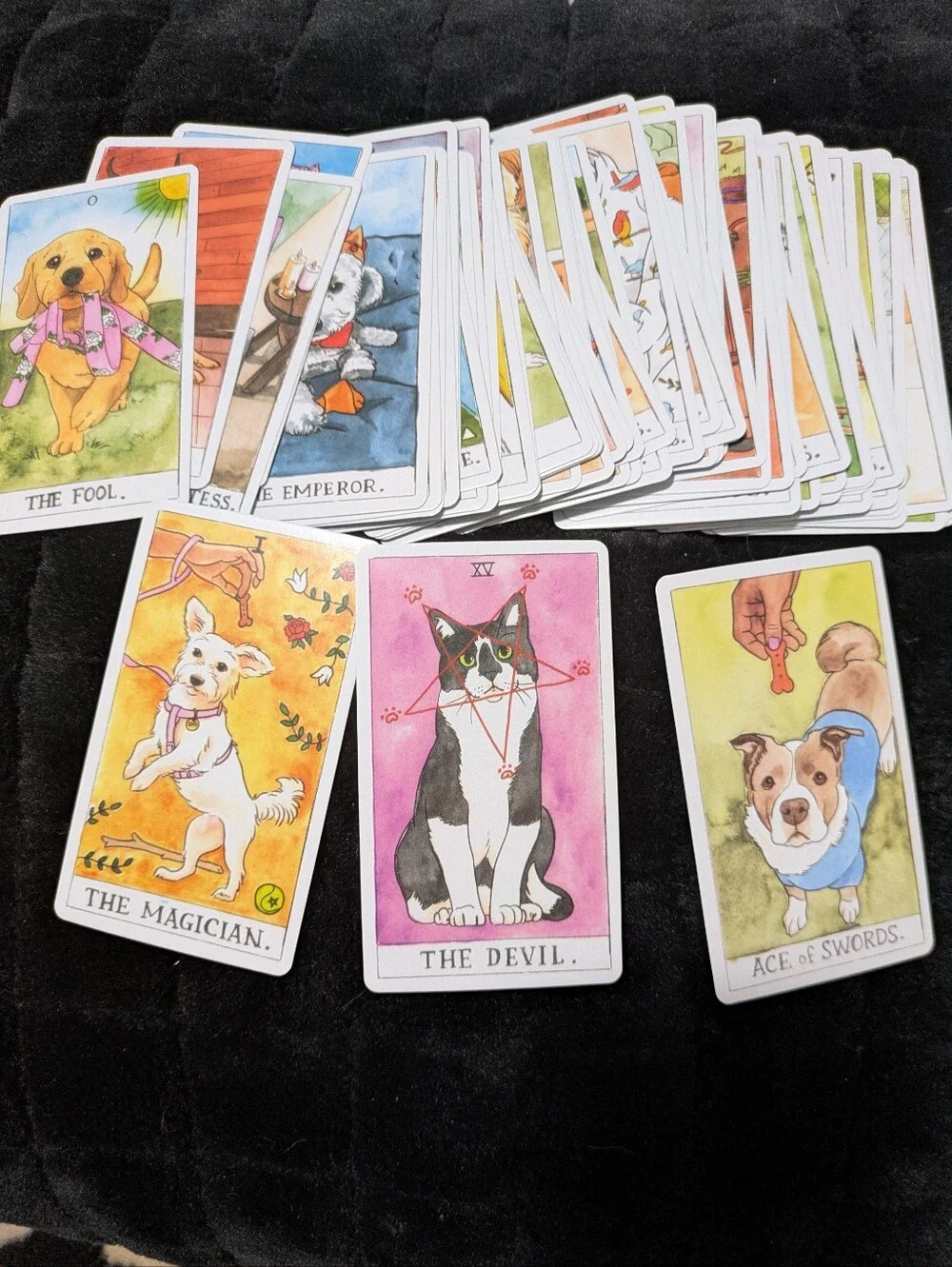 Chronicle Books Dog Tarot Deck - Blue, Red, Yellow
